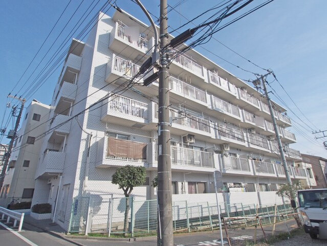 コスモ大島