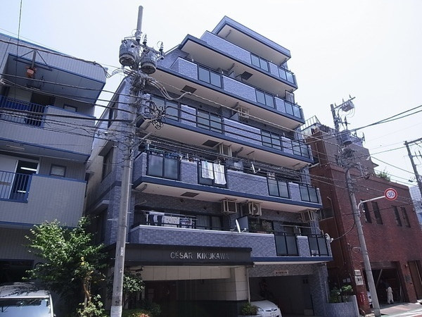 セザール菊川