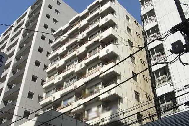 ライオンズマンション亀戸_画像2