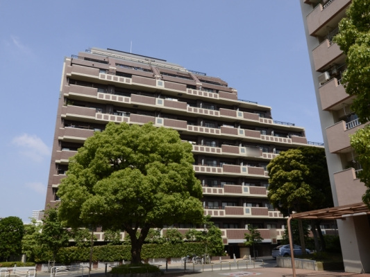 サンクタス大島ＥＸ_画像2
