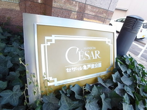 セザール亀戸東公園_画像5