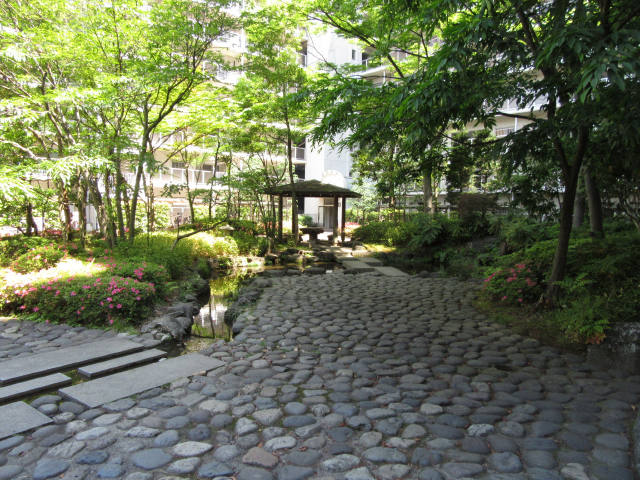 ダイアパレス猿江恩賜公園_画像5