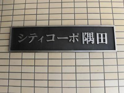 シティコーポ隅田_画像5