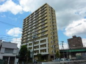 �i�q�����������T�ˉw ���Ã}���V���� 7698���~