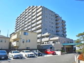 �����ɐ�����������w ���Ã}���V���� 6298���~