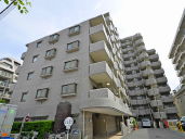 �i�q�����������T�ˉw ���Ã}���V���� 7999���~