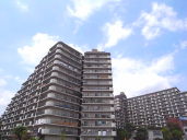 �s�c�V�h�����哇�w ���Ã}���V���� 4398���~