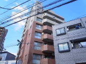 �����ɐ�����������w ���Ã}���V���� 6490���~