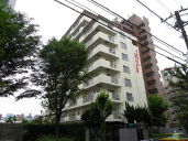 �i�q���������������w ���Ã}���V���� 5999���~