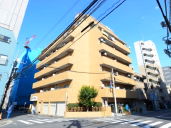 �i�q�����������ю����w ���Ã}���V���� 5980���~